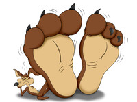 Coyote's Hyper Feet