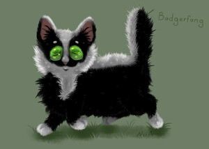 Midnight  Warrior cats by plush_nessie -- Fur Affinity [dot] net