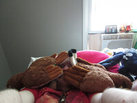 Me katelyn hawk and aquila eagle