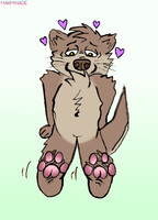 Otter Paws!
