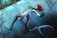 Shark