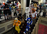 Lions on the stairs