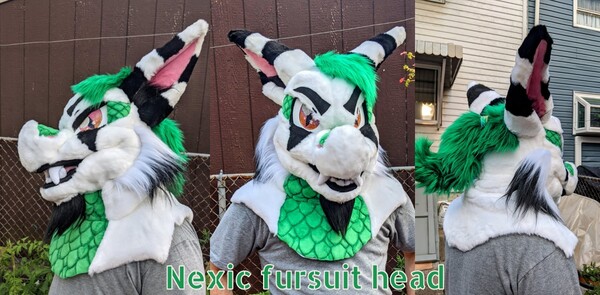 New fursuit head [Now featuring foam] by 2qe6647 -- Fur Affinity