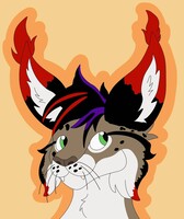 Vandil Headshot