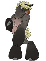 Horsie Guy