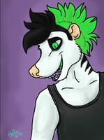 Hollo in Colors Live