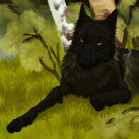 YCH: │ Raukoth │ [FA]