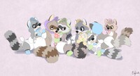 Baby raccoons!