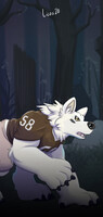 14 werewolves commission by Licos (featuring Juuta)