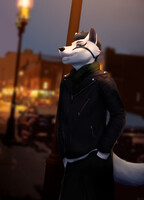 Evening on the street