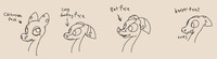 head shapes