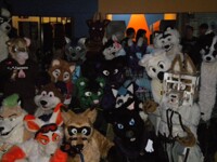 group shot #4