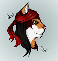 Pirate Cat WIP