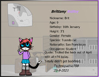 Redesign-- Brittany Ridley