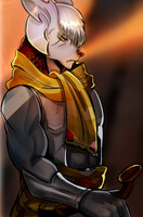 Warrior's Golden Light