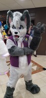 Domafox Fursuit 2021