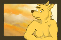 Coyo-dog