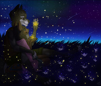 Night Sky Moment