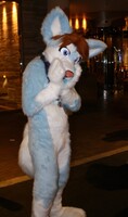 MFF 2015 - Lucario