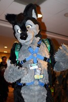 MFF 2015 - Otto