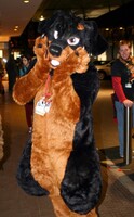 MFF 2015 - Firewolf