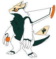 Plane dragon!