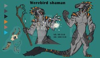 Werebird adopt - shaman
