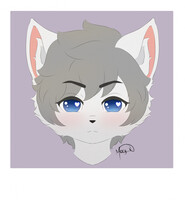 Polaroid Icon