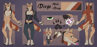 Diego sfw