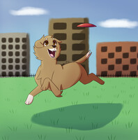 A Dog Fetching a Frisbee