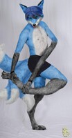 [REQUEST] Kiro by PythosCheetah