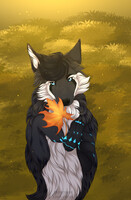 Autumn gift
