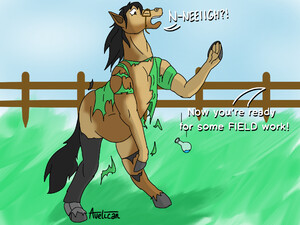 Ditto transform #2 Horsea by Redjiggs on DeviantArt