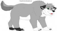 Spirit the Wolf bear