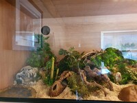 .:New Viv:.