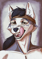 Sketch commission