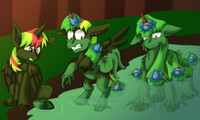 Lily pad  TF