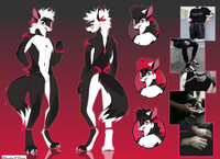 AUCTION FOR ADOPT(CLOSED)
