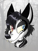 Luna Headshot
