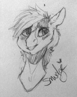 Pony Smudge Pencil Portrait
