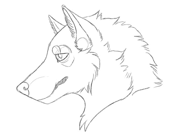 FREE TO USE- canine headshot by AlphaSempaiWolvieSyxx -- Fur Affinity ...