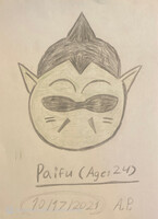 Paifu (Age: 24) (Dragon Ball AU)