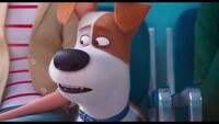 Max secret life of pets