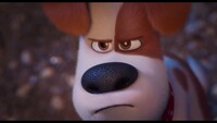 Max secret life of pets