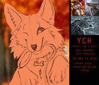 YCH Ready for a walk