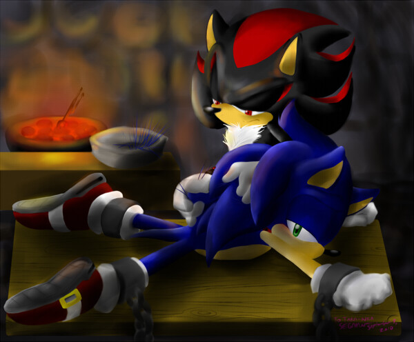 Sonadow Fanfic: He is my Master (Episode 03) 