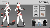 Reference Sheet [Commission]