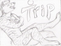 WIP--Trip Badge Commission