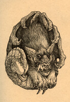 Manticore