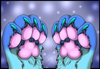 Cute paws 4